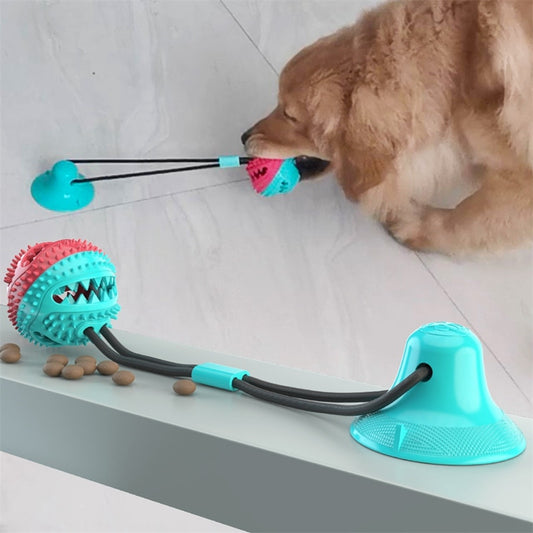 Suction Tug of War Dog Toy