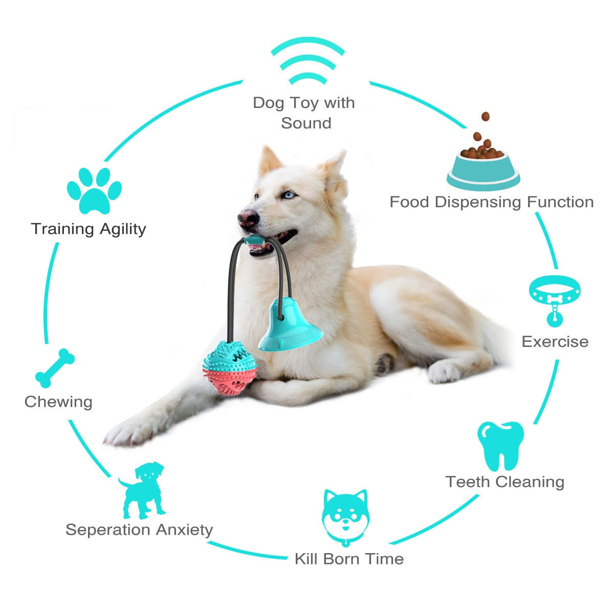 Suction Tug of War Dog Toy